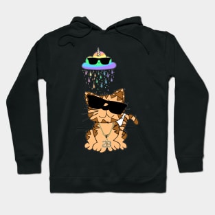 HIP HOP CAT Hoodie